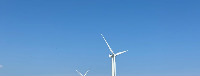 Bangui Windmills is one of Gallivanting in Luzon.