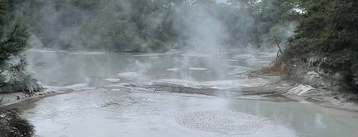 Mud Pool is one of New Zealand Favourites.