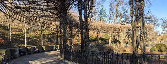 Central Park - Wisteria Pergola is one of Locais curtidos por Katina.