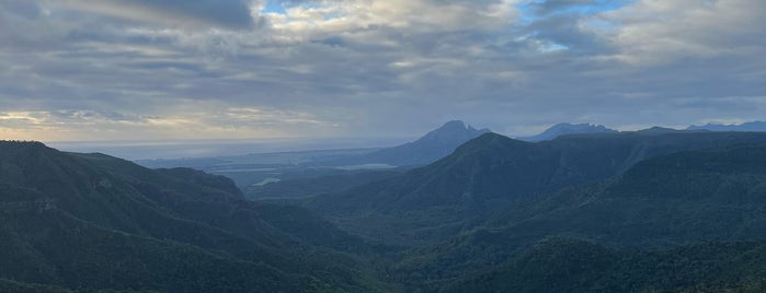 Ebony Forest Reserve is one of Mauritius 🇲🇺.