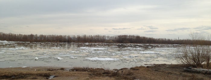 Советский Парк is one of парки и скверы Омска.