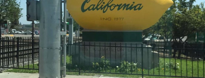 The Big Lemon (Of Lemon Grove) is one of Neon/Signs S. California.
