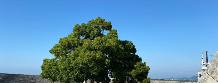 大津湖岸なぎさ公園 is one of Yongsukさんの保存済みスポット.