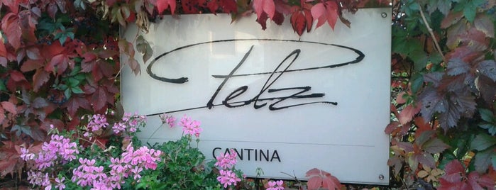 Cantina Pelz is one of Locali.