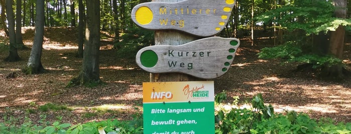 Barfußpark is one of Freizeit.