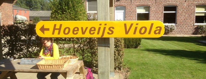 Hoeveijs Viola is one of Zoet.