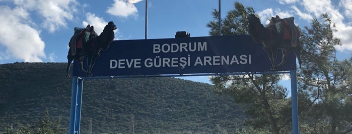 Kızılağaç Deve Güreşi Arenası is one of Bdr list 1.