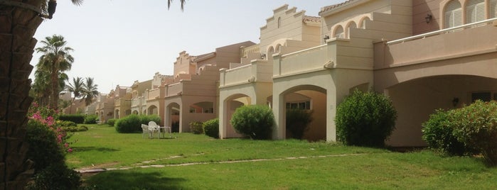 Jalis جالس D9 81 D9 8a D9 86 D9 8a D8 B3 D9 8a D8 A7 D8 A7 D9 84 D8 Ae D9 85 D8 B1 D8 A9