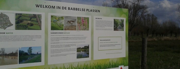 Babbelse Plassen is one of Provinciale Overstromingsgebieden.