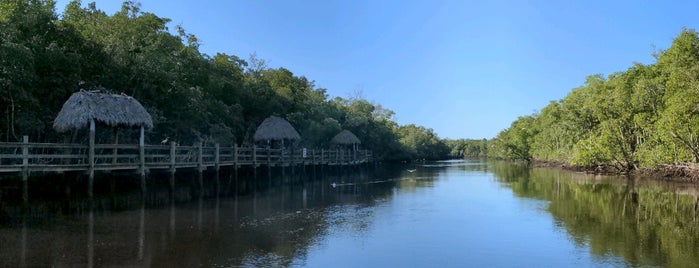 Captain Jack's Airboat Tours is one of Rex : понравившиеся места.