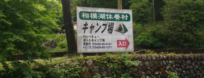 キャンプ場