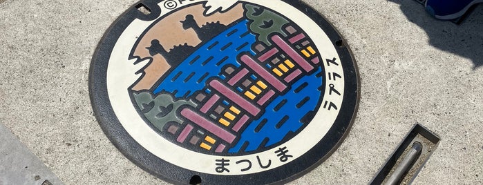 Pokémon manhole cover (Poké Lid) Lapras is one of ポケモンマンホール.