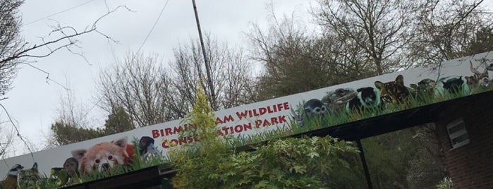 Birmingham Wildlife Conservation Park is one of Locais curtidos por Elliott.