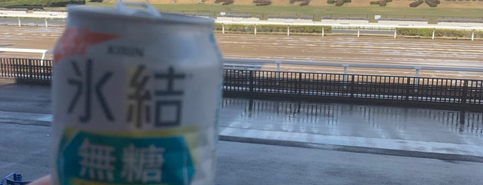 浦和競馬場 is one of 黄色いカレー.