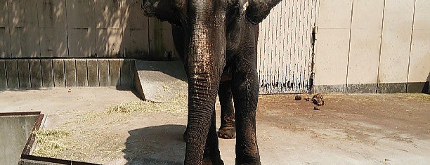 池田動物園 is one of 動物園.