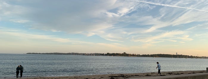 Dane Street Beach is one of Mike : понравившиеся места.