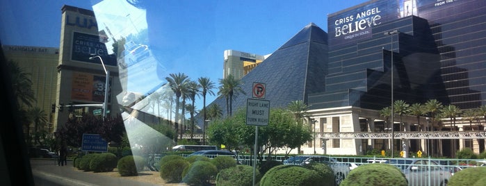 Luxor Hotel & Casino is one of Cenkerさんのお気に入りスポット.