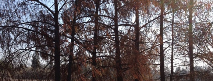 Lodi Lake Nature Area is one of Tony & Lindsay's Stockton Bucket List.