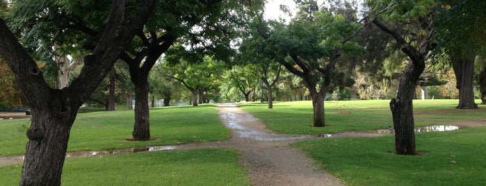 Rundle Park / Kadlitpinna is one of Adelaide.