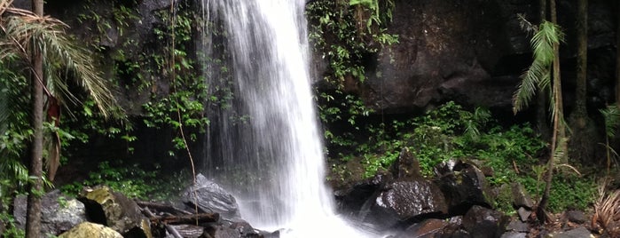 Curtis Falls is one of Aussie-Brisbane.