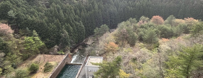 生野ダム is one of ダムカードを配布しているダム（西日本編）.