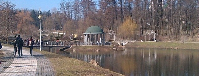 Палладинский пруд is one of озера Києва.