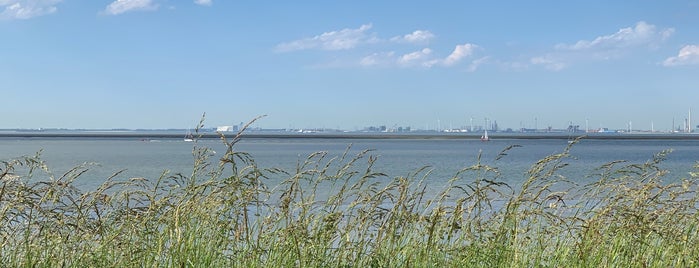 Op De Dijk, Village Scaldia is one of Zeeland 2021.