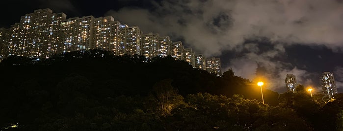 Lai Yiu Estate is one of 公共屋邨.