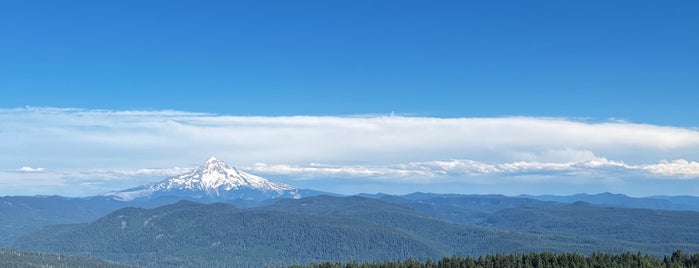 Larch Mountain View Point is one of Oregon Bucket List.