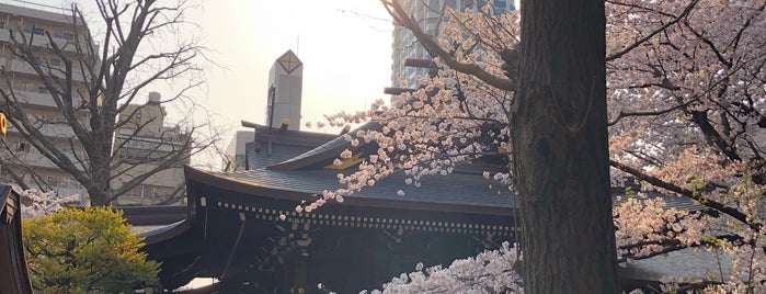 新宿区みどりの文化財 保護樹木 S48-235 スダジイ_十二社熊野神社 is one of 新宿区.