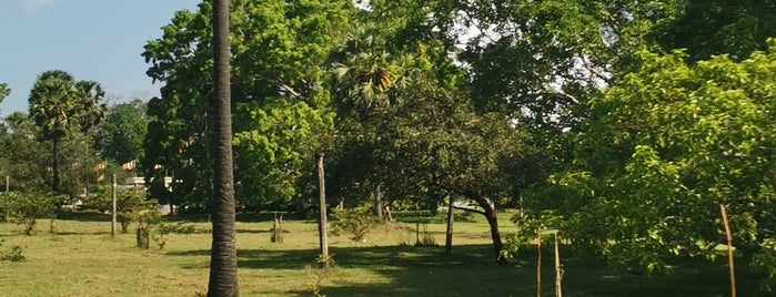 Ruwanvelisaya Temple is one of Sri Lanca.