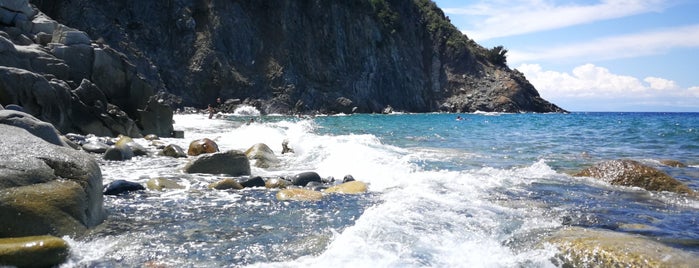 Spiaggia di patresi is one of Elba.