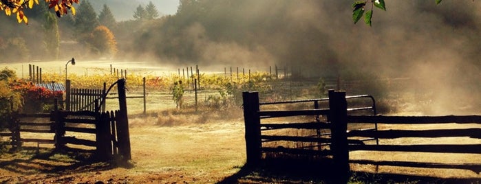 Leaping Lamb Farm is one of Anitha : понравившиеся места.