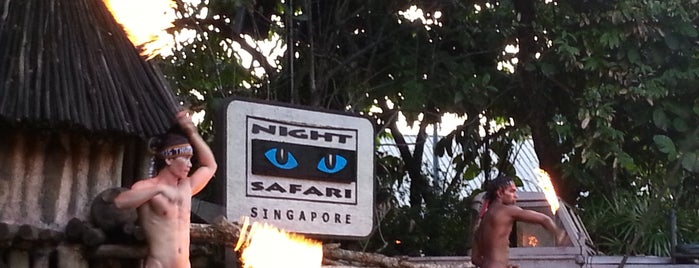 Night Safari is one of Tempat yang Disukai Sie.