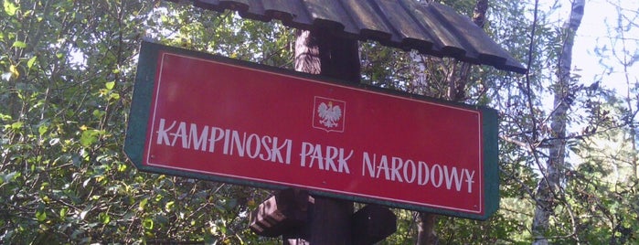Kampinos National Park is one of Warschau.