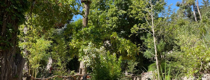 Jardin Botanico is one of Майорка На Машине 2019.