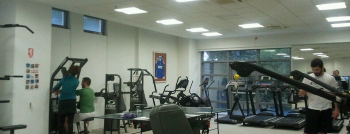Gym @ Hertz is one of สถานที่ที่ Yannis ถูกใจ.