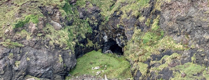 Whisky Cave is one of Scotland.