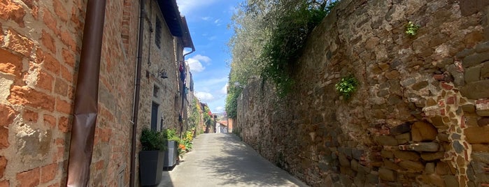 Museo Leonardiano is one of Túra.