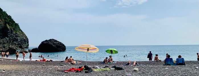 Cala del Leone is one of Best of Livorno.