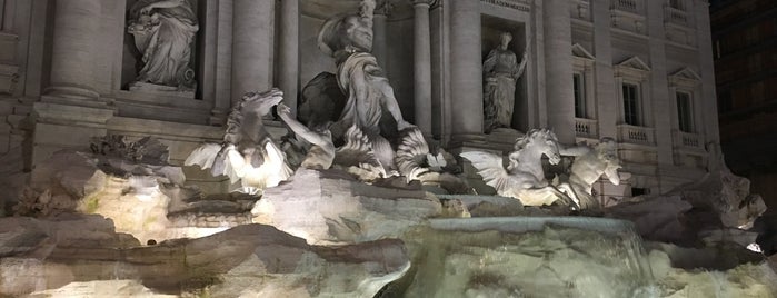 Fontana di Trevi is one of Posti che sono piaciuti a Gustavo.