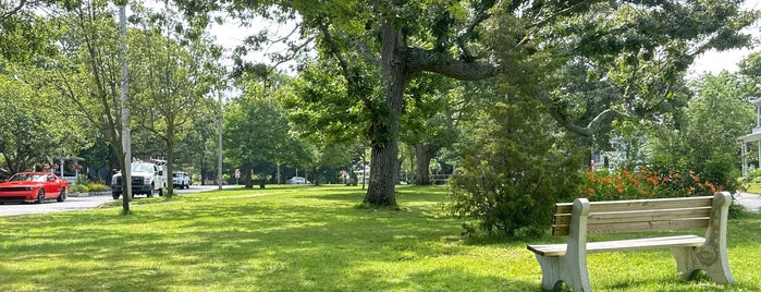Oak Bluffs is one of Lugares favoritos de Danyel.