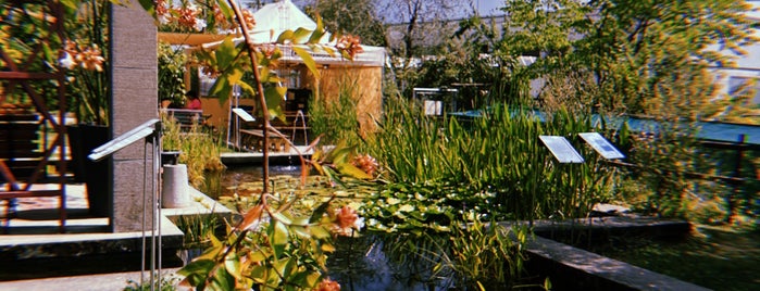 Jardin Botanique is one of Parks & Gardens.