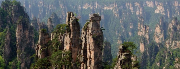 Zhangjiajie National Forest Park is one of To Do Elsewhere.