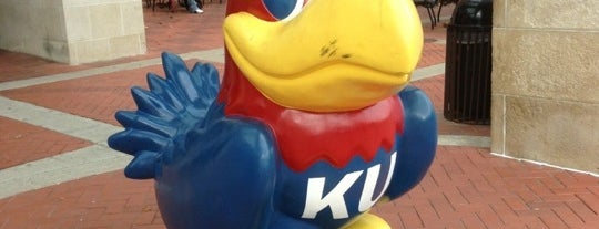 The University of Kansas is one of SAI Chapters.
