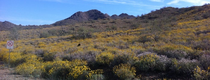 Cave creek recreation area is one of Freebies.