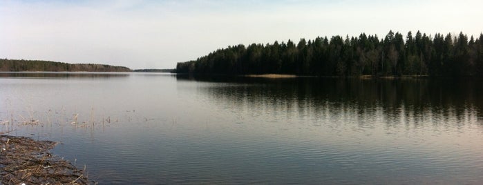 Череменецкое Озеро is one of สถานที่ที่ Анжелика ถูกใจ.