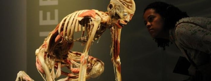 Human Bodies: the exhibition is one of gamze 님이 좋아한 장소.