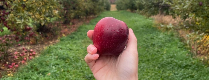 Barton Orchards is one of adventures outside nyc.