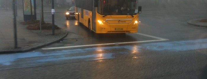 Bus 21 (Hellerup st. - Rødovre st.) is one of Transport, Offentligt Transport.